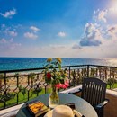 Kleopatra Royal Palm