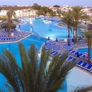 Globales Bouganvilla