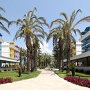 Crystal Paraiso Verde