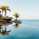 Saccharum by Savoy Signature