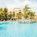 Palm Oasis