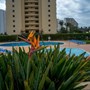 Apartamentos Turisticos Flor da Rocha